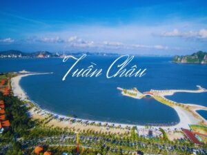 WIFI MARKETING ĐẢO TUẦN CHÂU