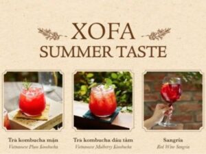 Wifi Marketing tại Xofa Café & Bistro